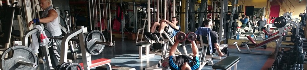 Halteres à la salle de musculation lunel Viva Fitness