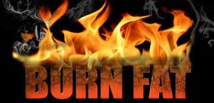 Fit burner- le cours brule graisses