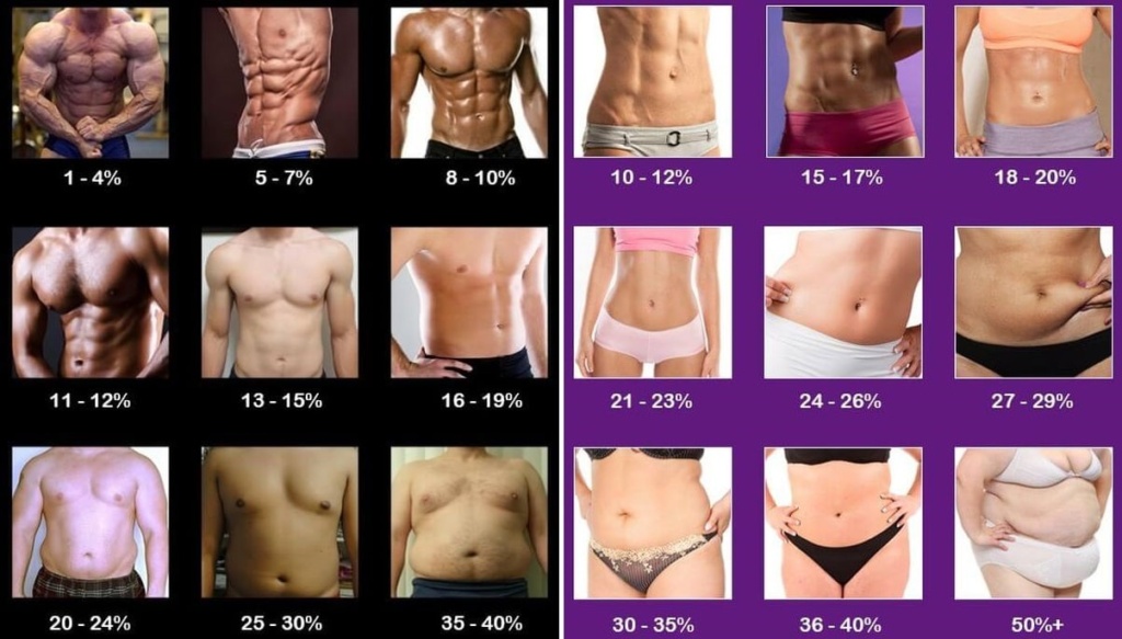 Trouvez votre pourcentage de graisse homme ou femme